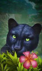 Blue Panther